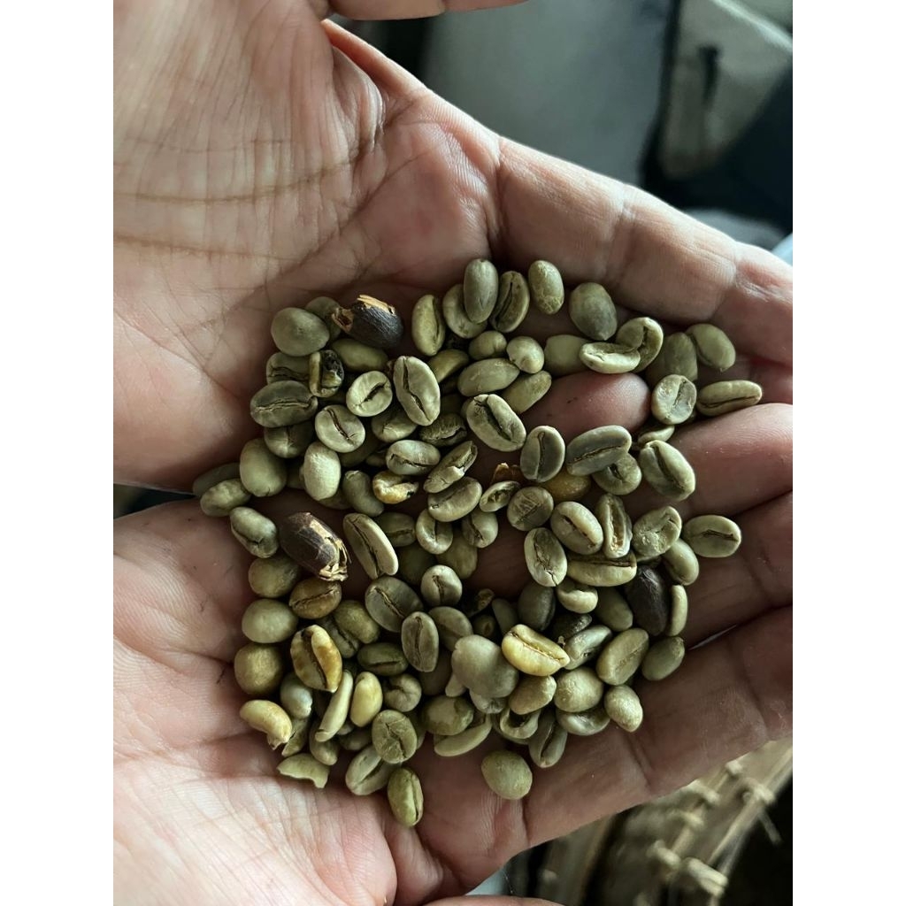 Green bean Arabica