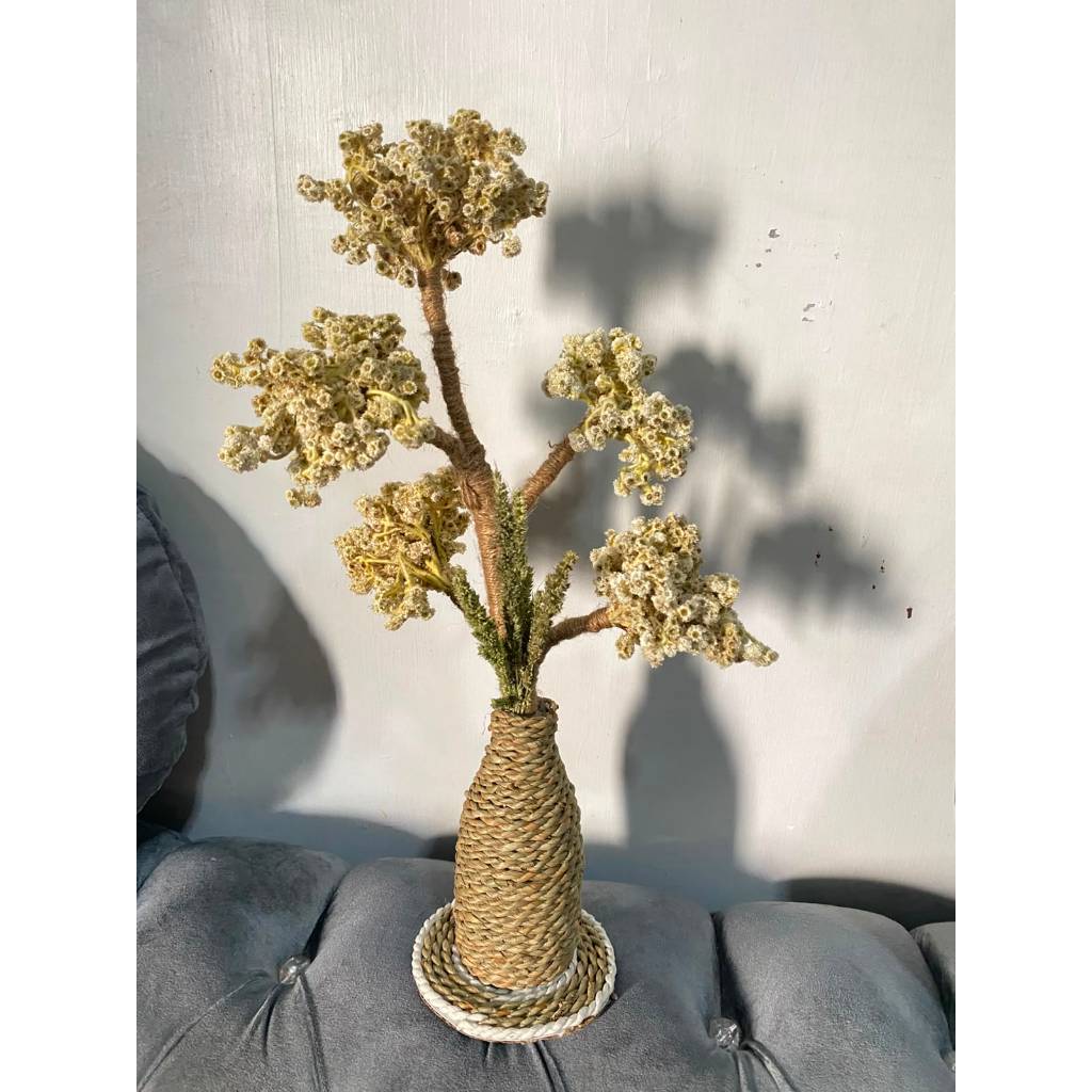 Bunga dan Vas/ Dekorasi Rustic/ Bunga Kering Edelweis/ Hiasan Rumah Estetik