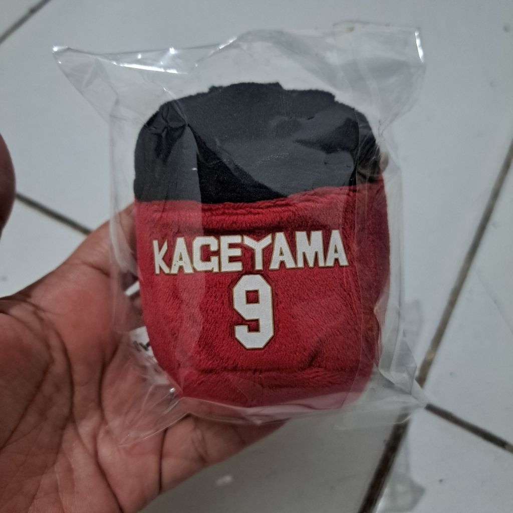 Kageyama Tobio Noru Timeskip haikyuu official