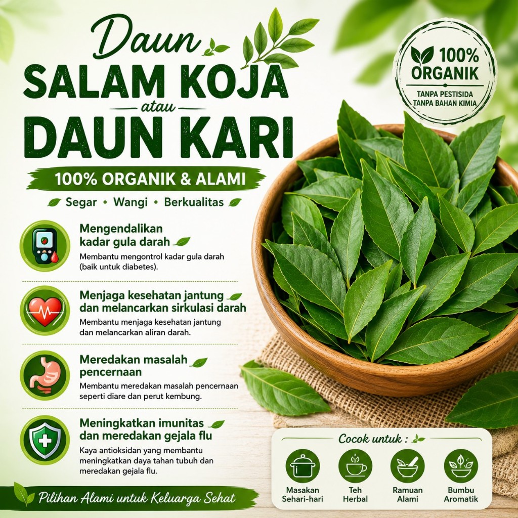 Daun Kari KOJA, Daun Salam KOJA, Temurui, Korokeling, Daun Kari