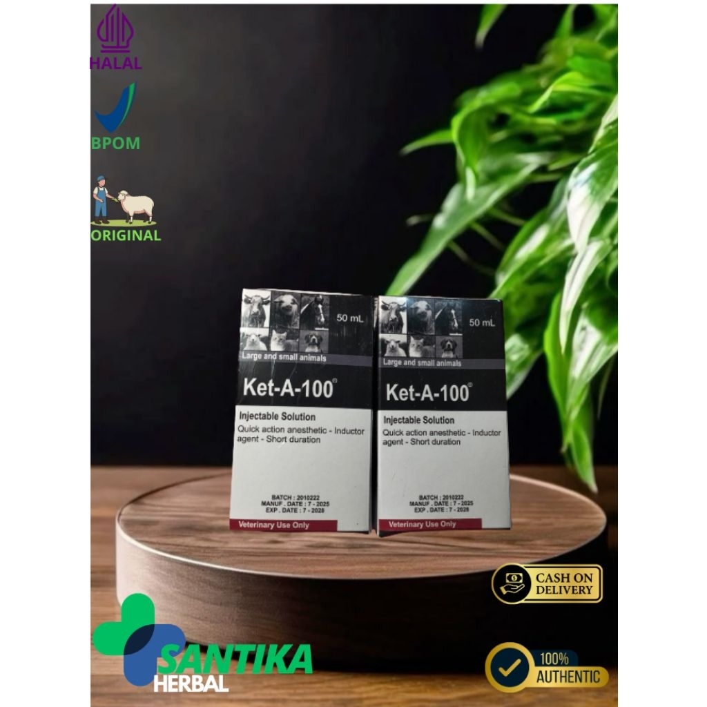 Ket-A-100 obat anestesi (bius) khusus hewan yang mengandung 100 mg ketamin per ml.
