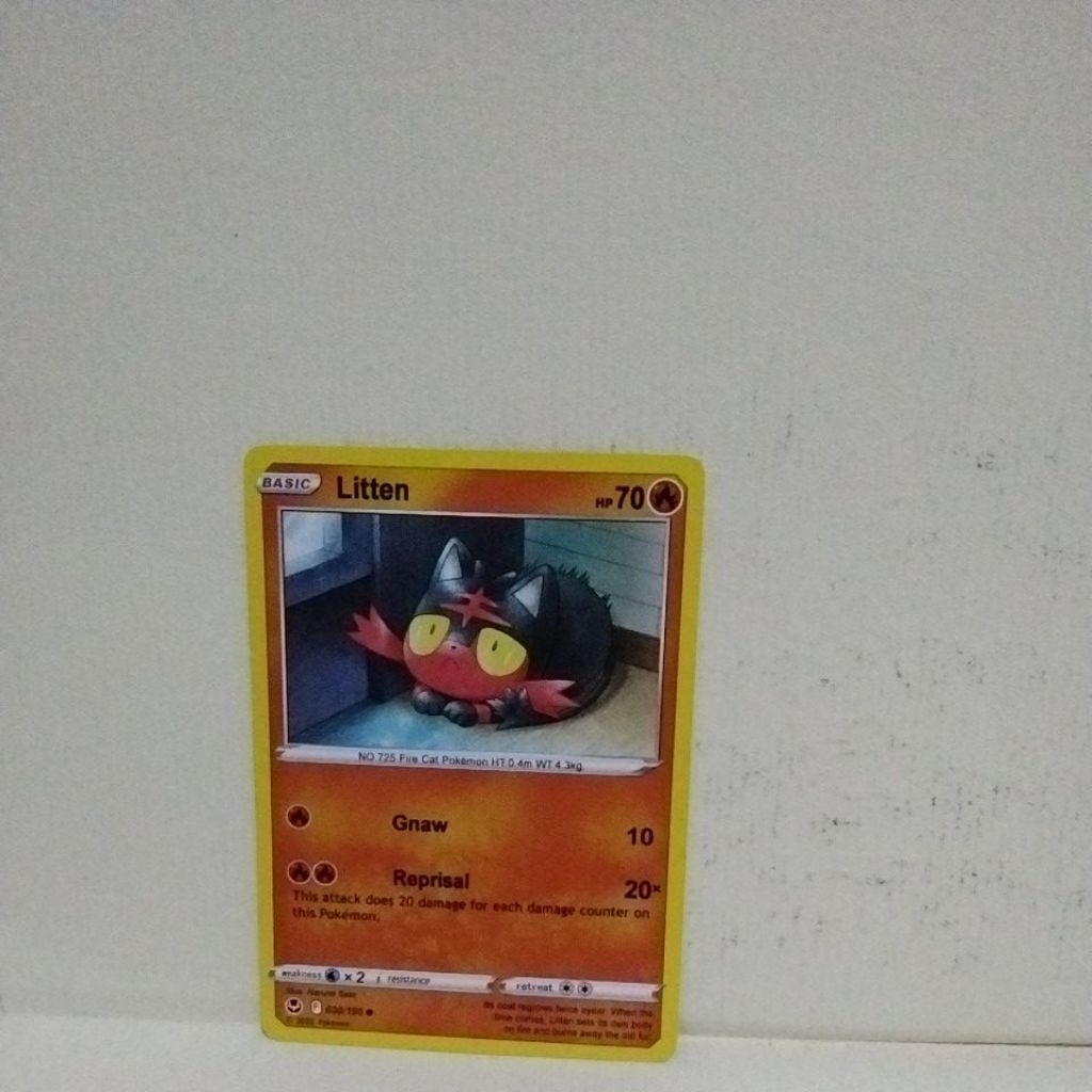 Paket Kartu Pokemon Litten