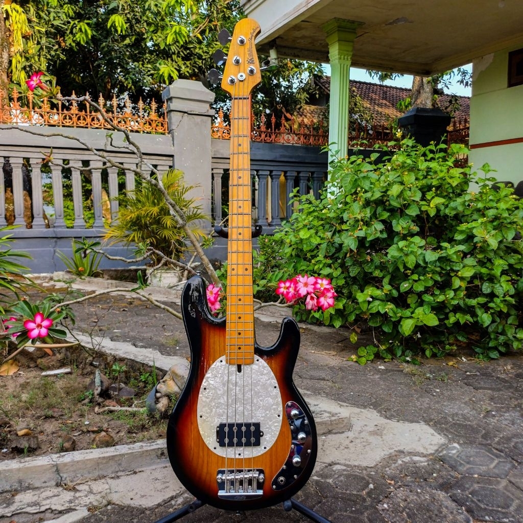 Bass Elektrik Musicman StingRay Senar 4
