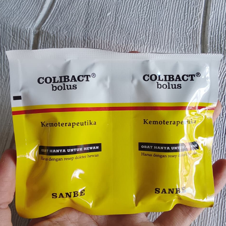 Colibact Bolus Sanbe- Obat Diare dan Mencret Ampuh untuk Sapi Kambing Domba- Cempe dan Pedet