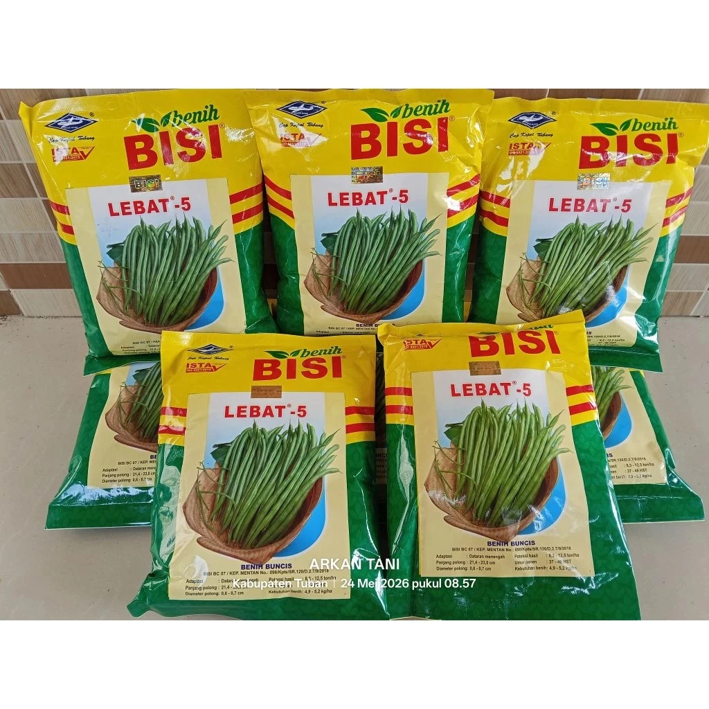 BENIH BUNCIS LEBAT - 5 500 GRAM - CAP KAPAL TERBANG