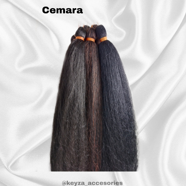 Sanggul Cemara (Tanpa Tulang)