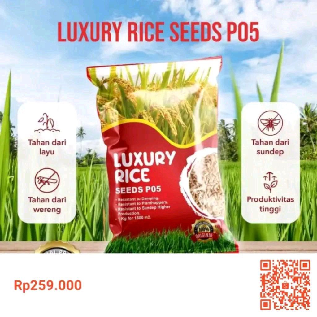 LUXURY RICE SEDS 1KG  Benih Padi P05  1 Bungkus Bibit PadiUnggul Benih Padi Prenmium BENIH PADI P05 