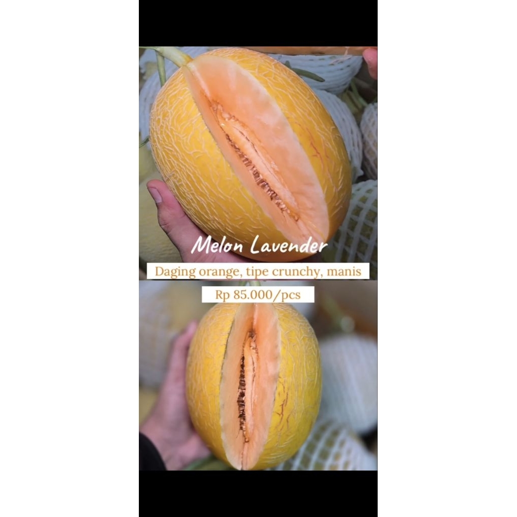 Pre Order "Buah Premium Pasar Induk" (PO Buah Premium Pasar Induk) - Melon Lavender