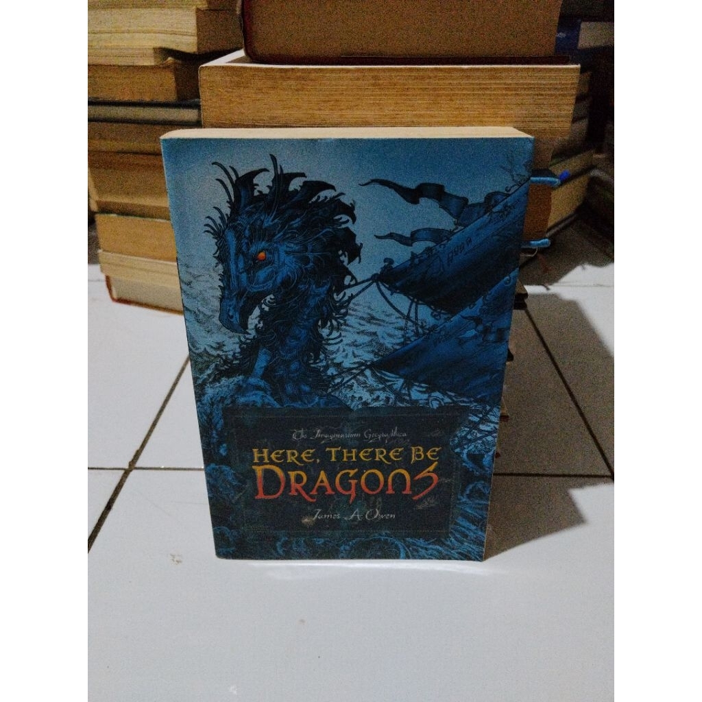 Novel original HERE THERE BE DRAGON by James