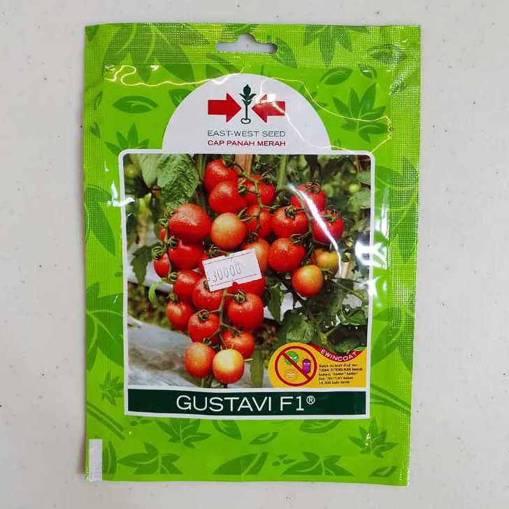 Benih Tomat Gustavi Panah Merah