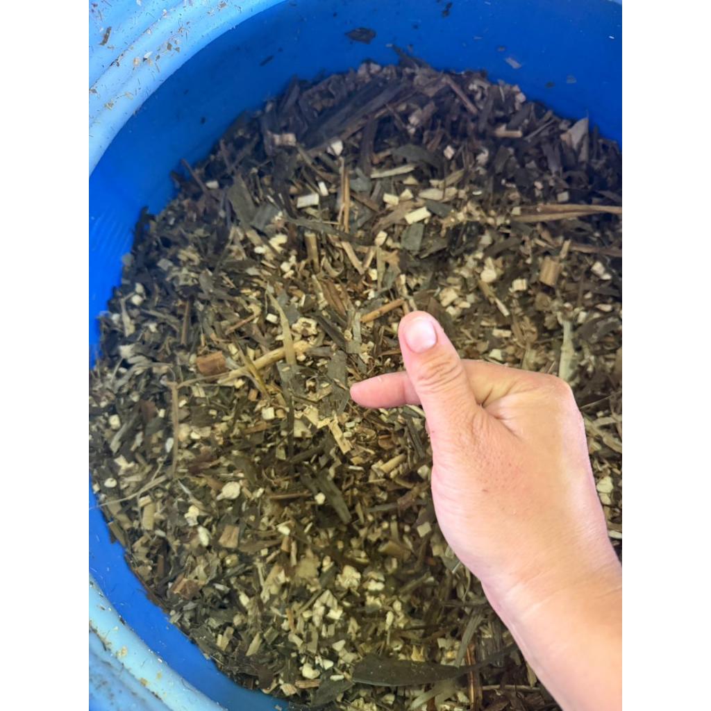SILASE PREMIUM PAKAN TERNAK KAMBING, SAPI DAN HEWAN LAINNYA