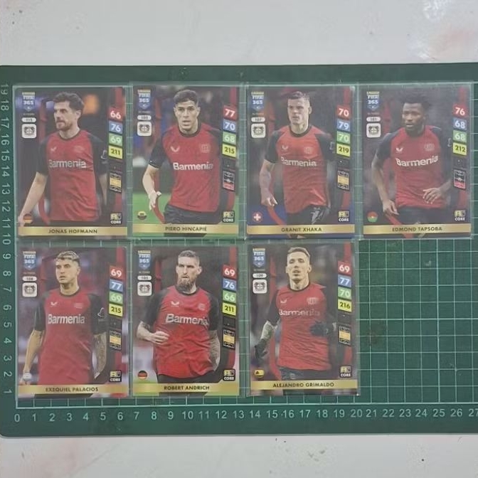 Kartu bola Panini Adrenalyn XL Bayer Leverkusen