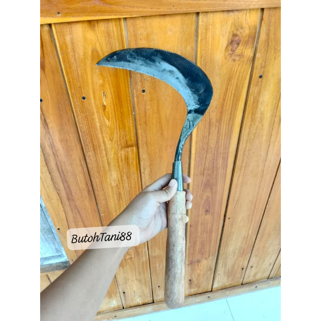 Sabit Baja isen Sepuhan Tua Super Tajam _ Ukuran Besar _ Sabit Rumput Padi Rambanan Ranting Kayu