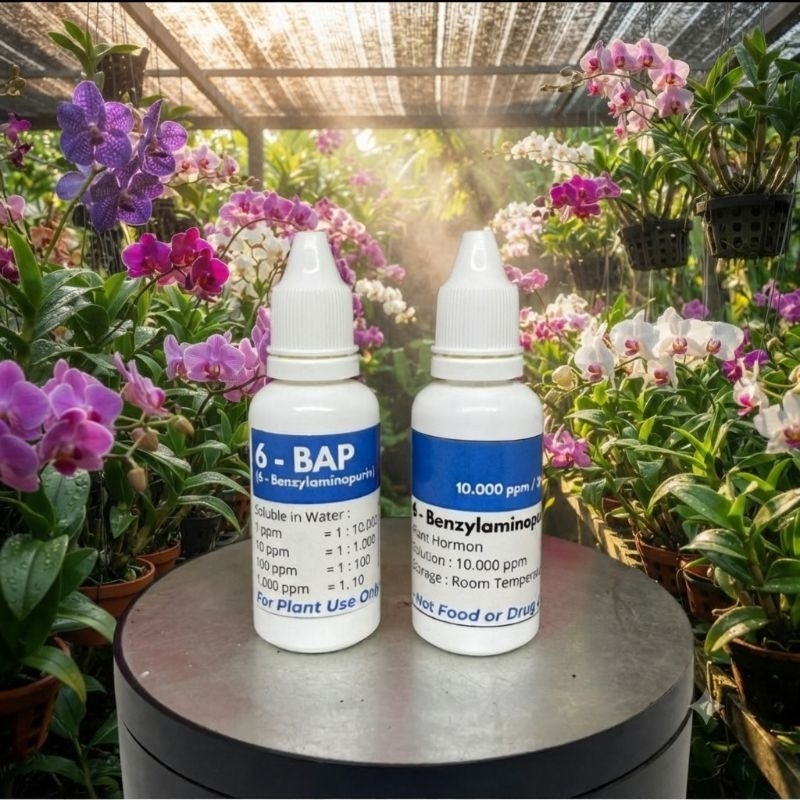 Hormon Tunas & Bunga Anggrek 6 BAP Biru 30ml - Perangsang Tunas Baru & Pembungaan Anggrek