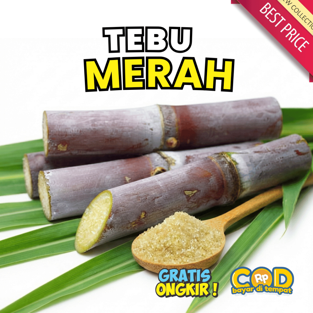 PROMO  TEBU MERAH MANIS 1KG • Manis • Alami • Siap Konsumsi fres seger /tebu merah