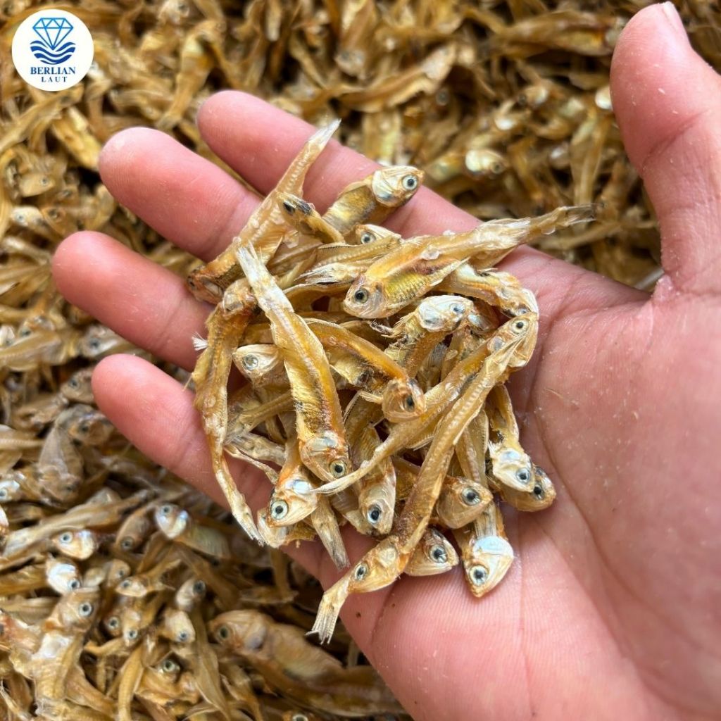 Teri Tawar Kering / Teri Ceples Tawar / Teri Bunga Tawar 100% Kering