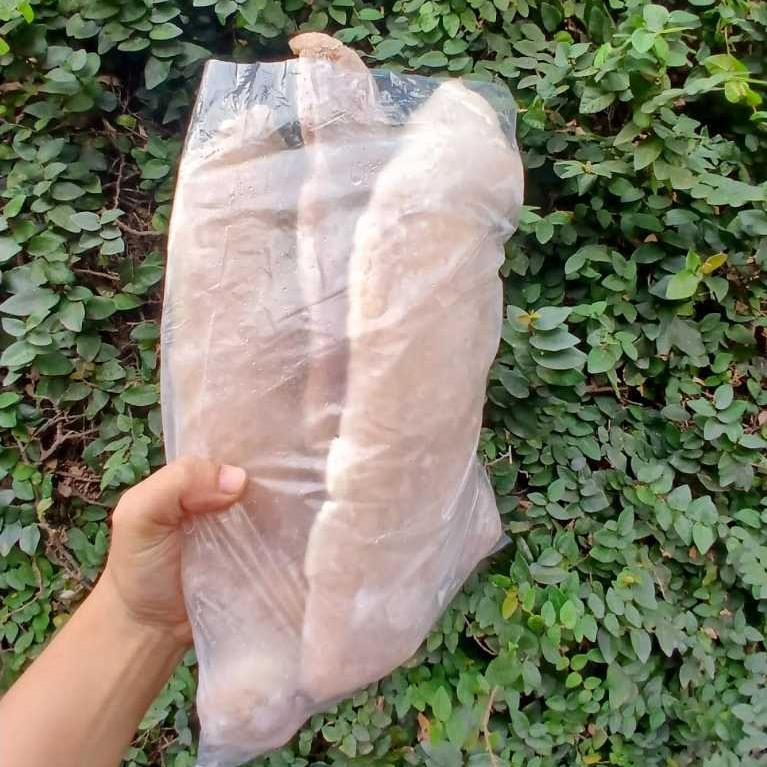 IKAN LELE FILLET FROZEN