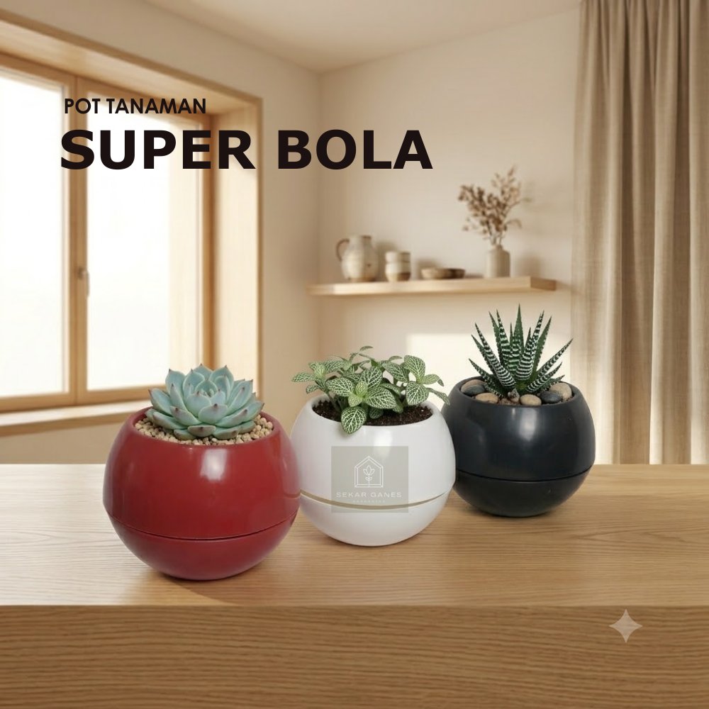 Sekarganes Pot Super Bola Hitam Putih Merah Bata Pot Bulat Vienna Putih Coklat Besar Pot Bola Vienna