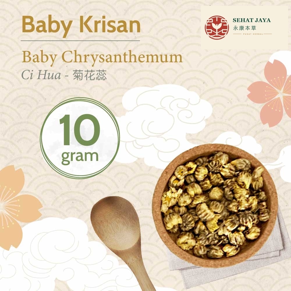 Baby Chrysanthemum 10 gram / Teh Bunga Baby Krisan / Ju Hua  / Kiok Hua