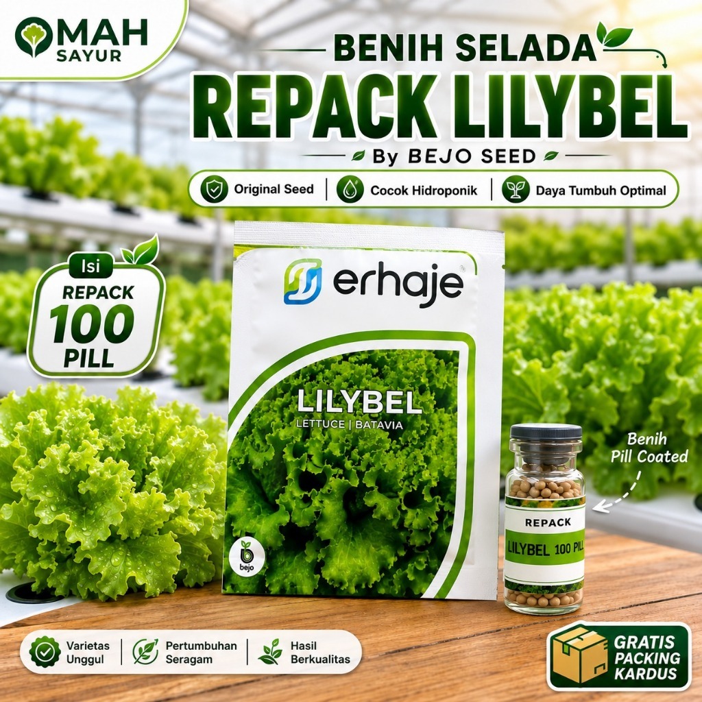 [REPACK-100 Pills] Benih Selada LILYBEL Benih Lettuce Batavia By Bejo Seeds Lilybel Repack 100 pills
