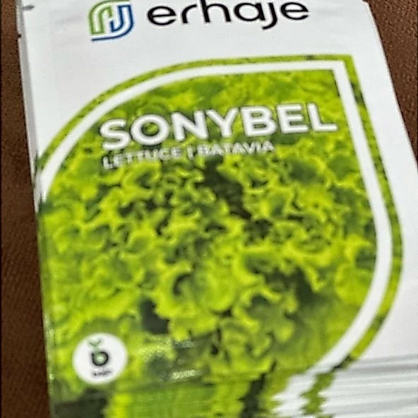 SONYBEL Bejo Seeds Pengganti Myrtel Batavia Lettuce