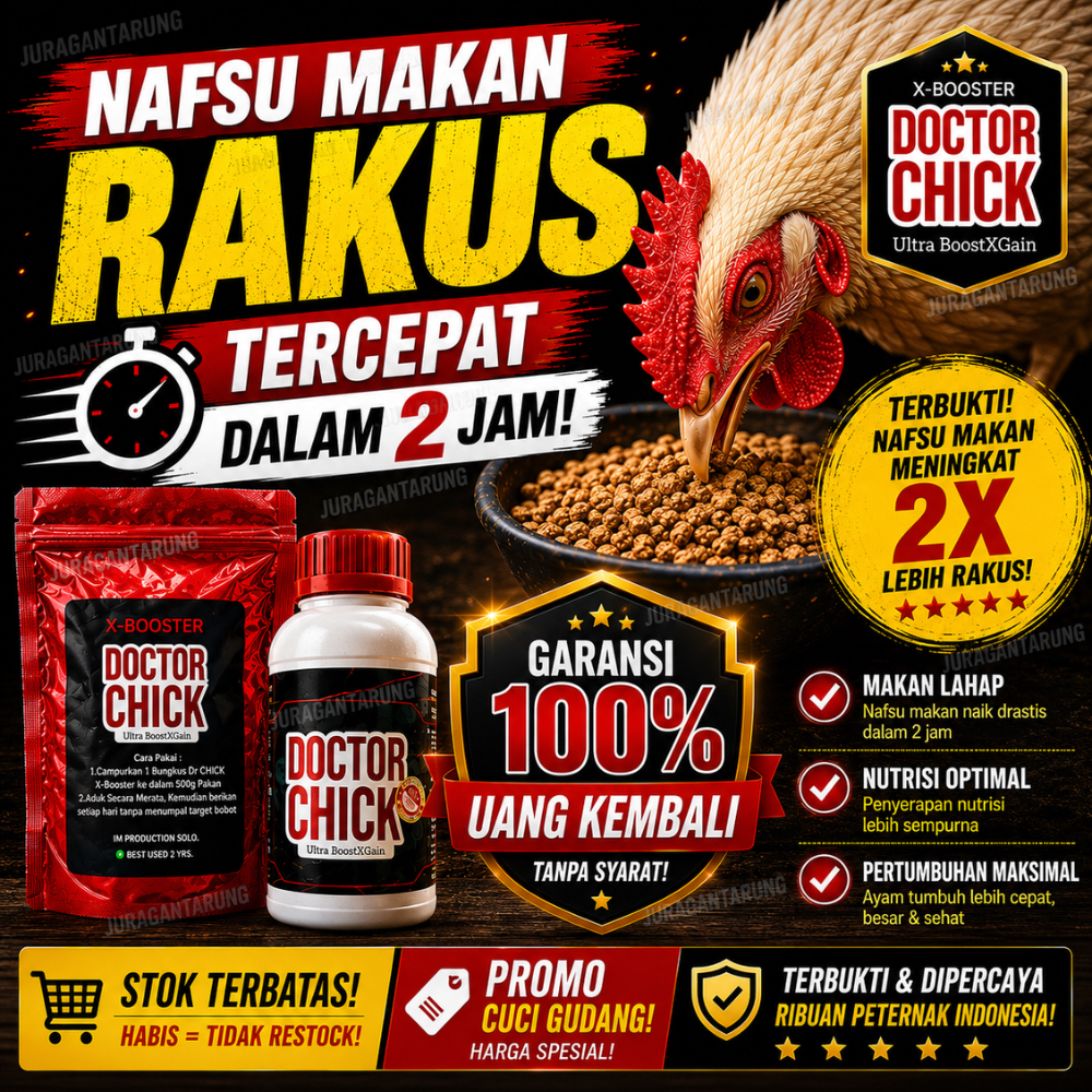 [RAKUS DALAM SEKALI PAKAI],Vitamin Ayam Kampung,Vitamin Ayam Kampung Cepat Besar,Reaksi Tercepat 