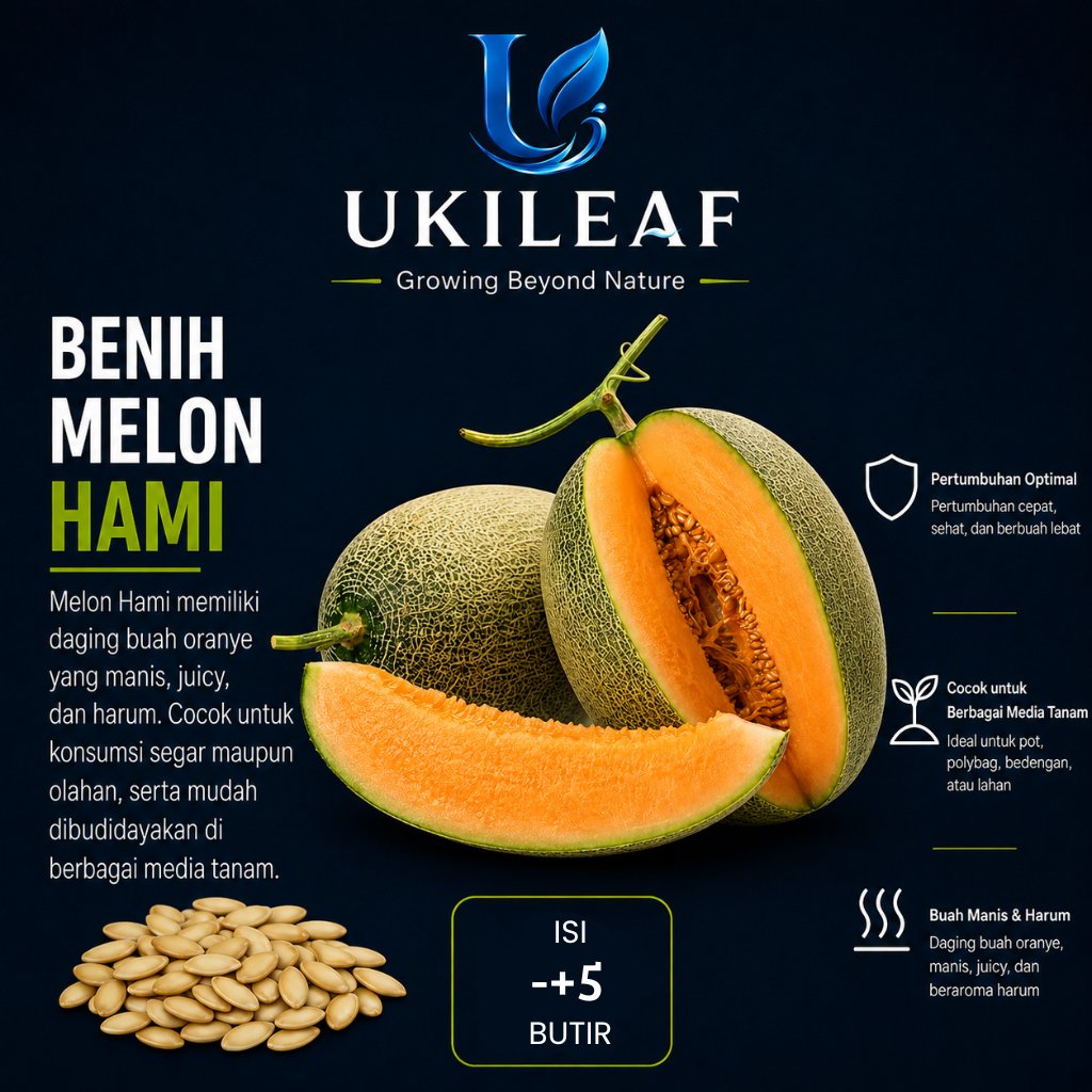 ( 5 Butir ) Benih Biji Melon Hami | Hami Gua | Melon Hami Xinjiang | UKILEAF