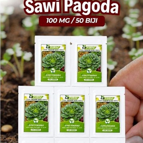 Benih Sawi Pagoda Benih Sawi Pagoda  Berkualitas Tinggi 100 mg