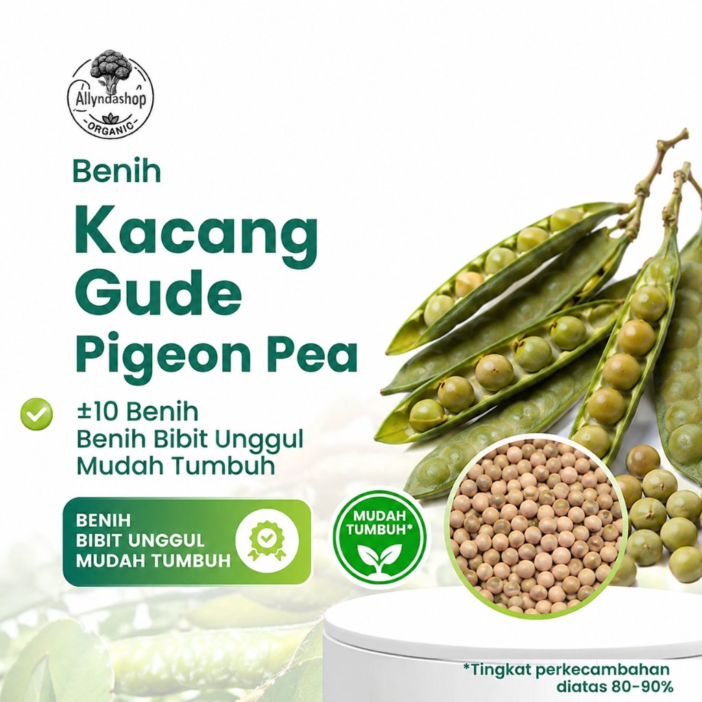 Benih Kacang Gude Unggul | Bibit Sayuran Kacang Gude Berkualitas Mudah Tumbuh