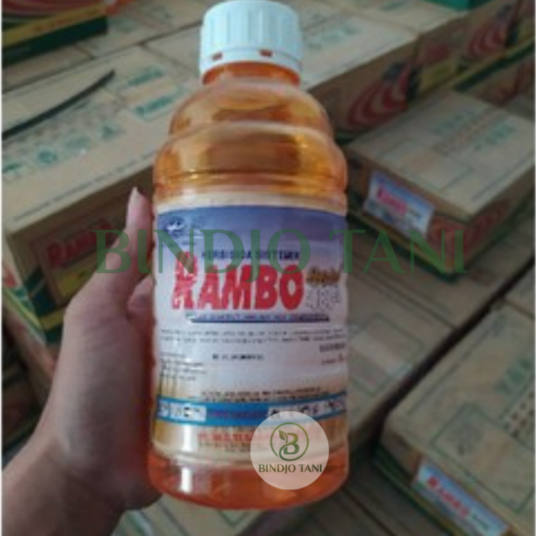 Herbisida Rambo 480SL
