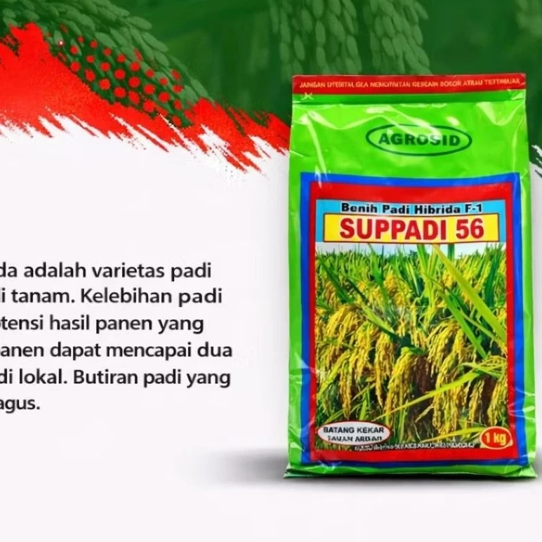 Bibit benih padi SUPPADI 56 hybrida ext 27