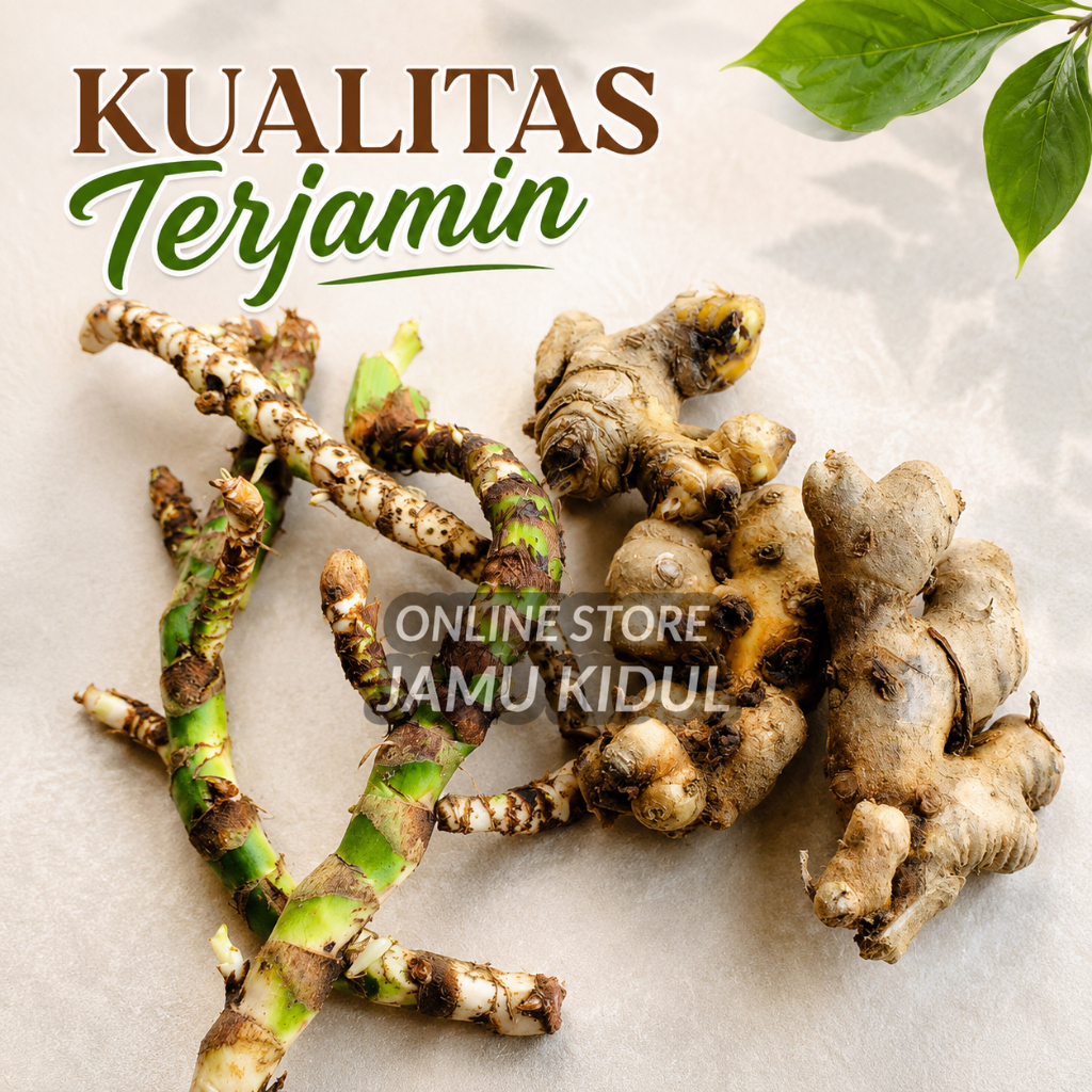 Dlingo Bengle Segar 100g SAWAN BAYI