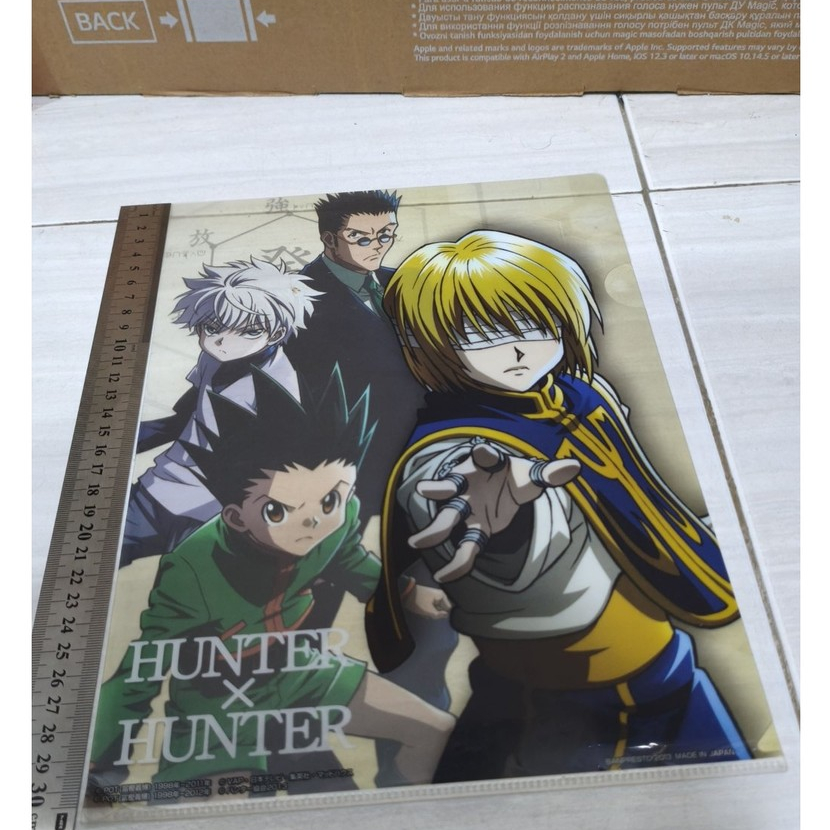 Official Clear File Hunter X Hunter