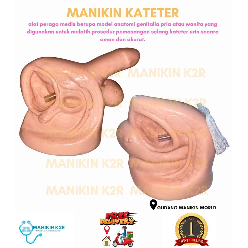 MANIKIN KATETER WANITA - PRIA /ALAT PERAGA PEMASANGAN KATETER WANITA - PRIA