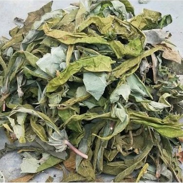 100 Daun Singkong Kering Alami