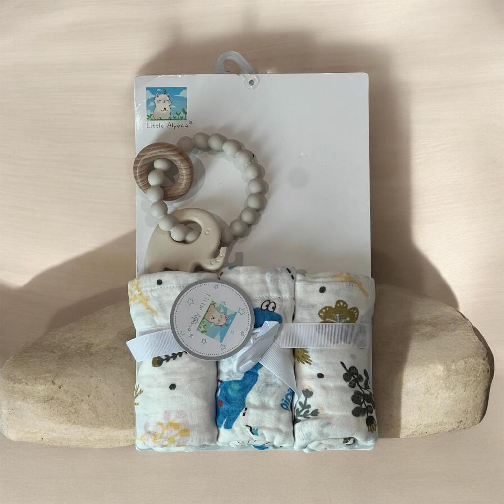 Premium Baby Gift set Baby Boy