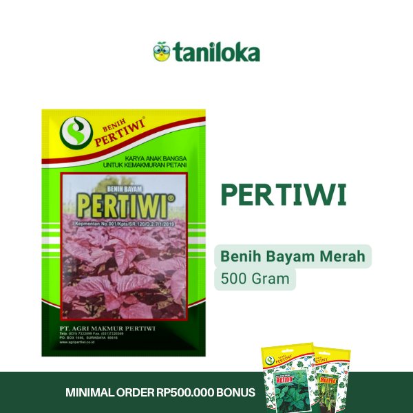 Benih Pertiwi - Benih Bayam Merah Pertiwi (500 Gram)