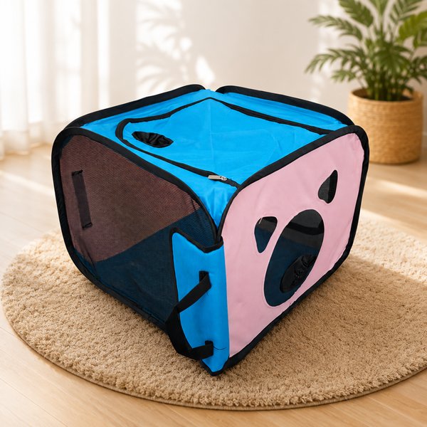 Box Pengering Hewan Pet Drying Box Multifungsi Bulu Kucing