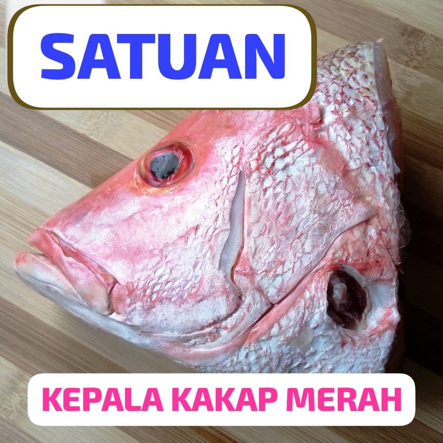 [ SATUAN ] KEPALA IKAN KAKAP MERAH  1 Pack isi 1 Utuh 300 ~ 400gr Kualitas Premium Super Spesial Pil