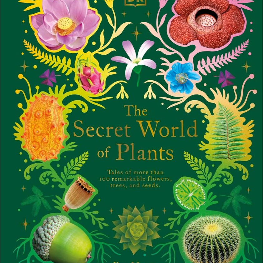 DK The Secret World of Plants (Hardcover) Alfabetbooks