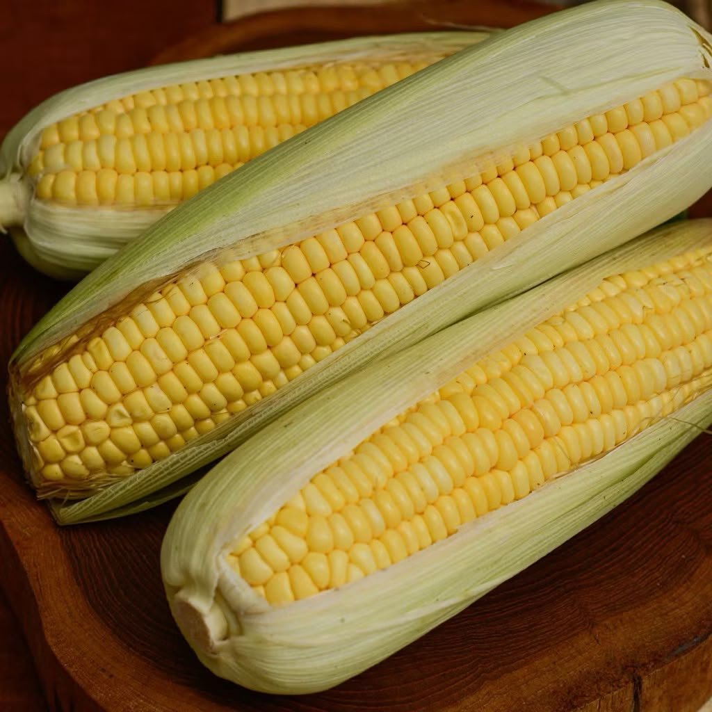 JAGUNG MANIS 1 KG/JAGUNG MANIS KEMASAN 1 KG