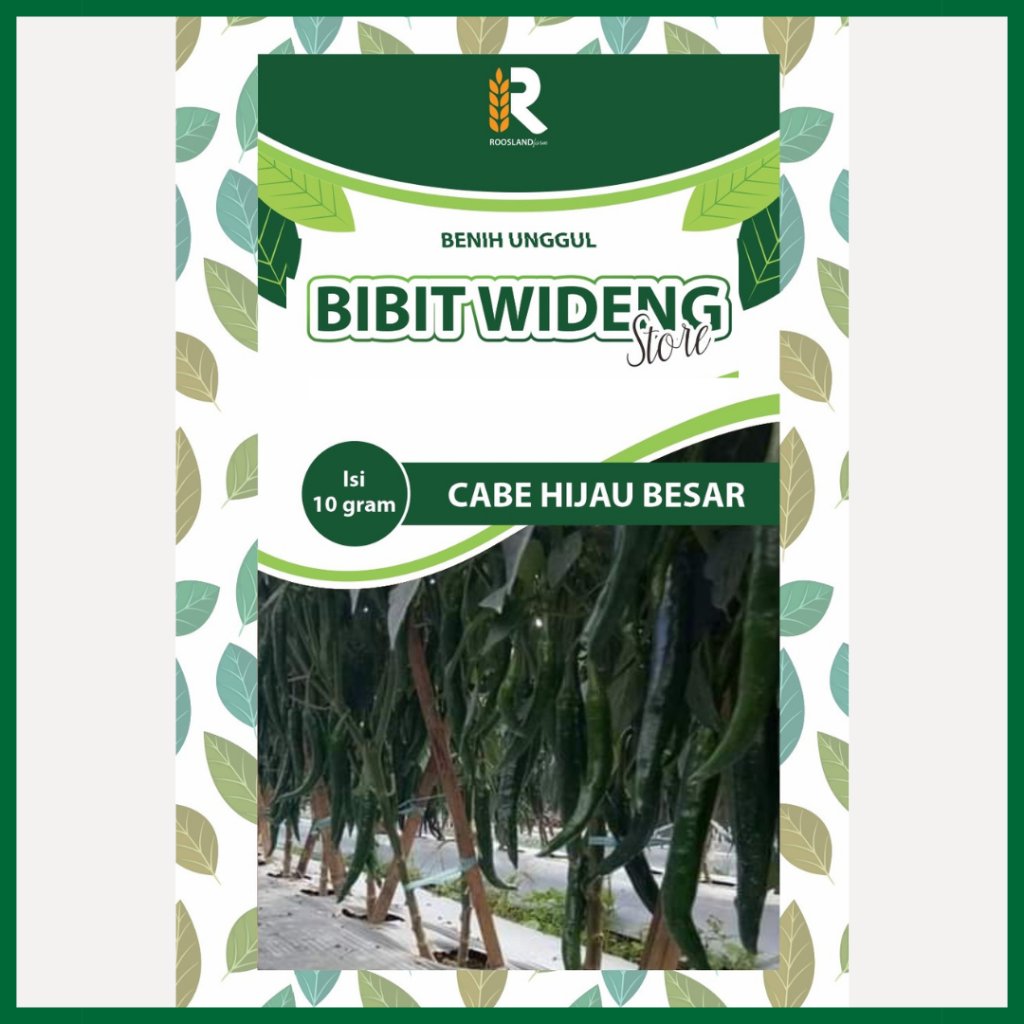 ( 10 GRAM ) BENIH CABE HIJAU BESAR | CABE HIJAU HIBRIDA | CABE HIJAU BIG GREEN