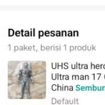 Orderan Co figure Ultraman Noa