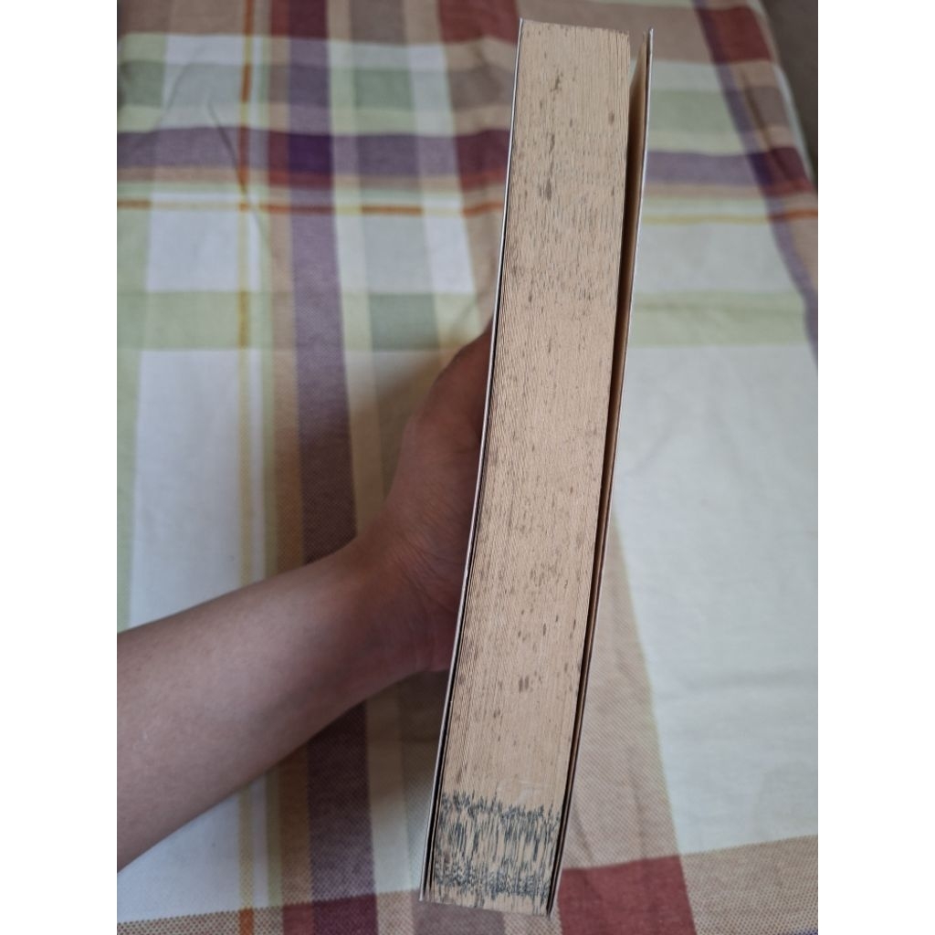 novel preloved promise promise