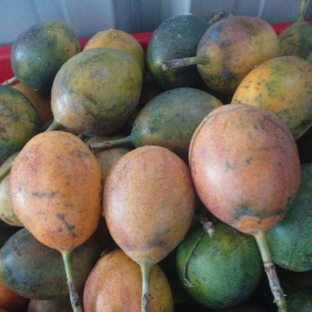 Markisa madu