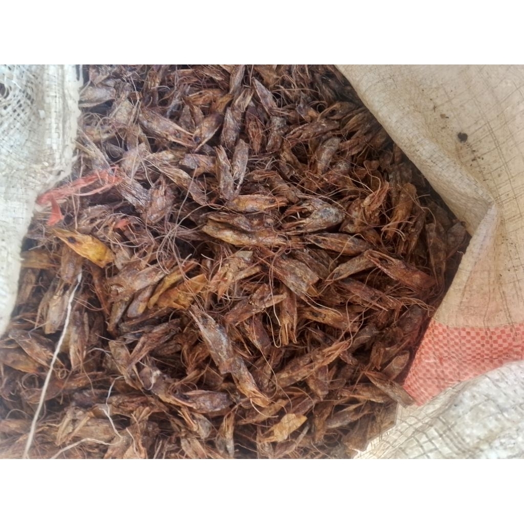 Kepala Udang Kering Vanamei 1kg