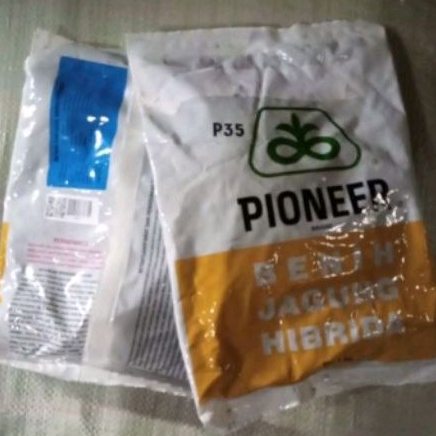 COD PROMO BENIH JAGUNG HIBRIDA PIONEER P35 KEMASAN 1KG