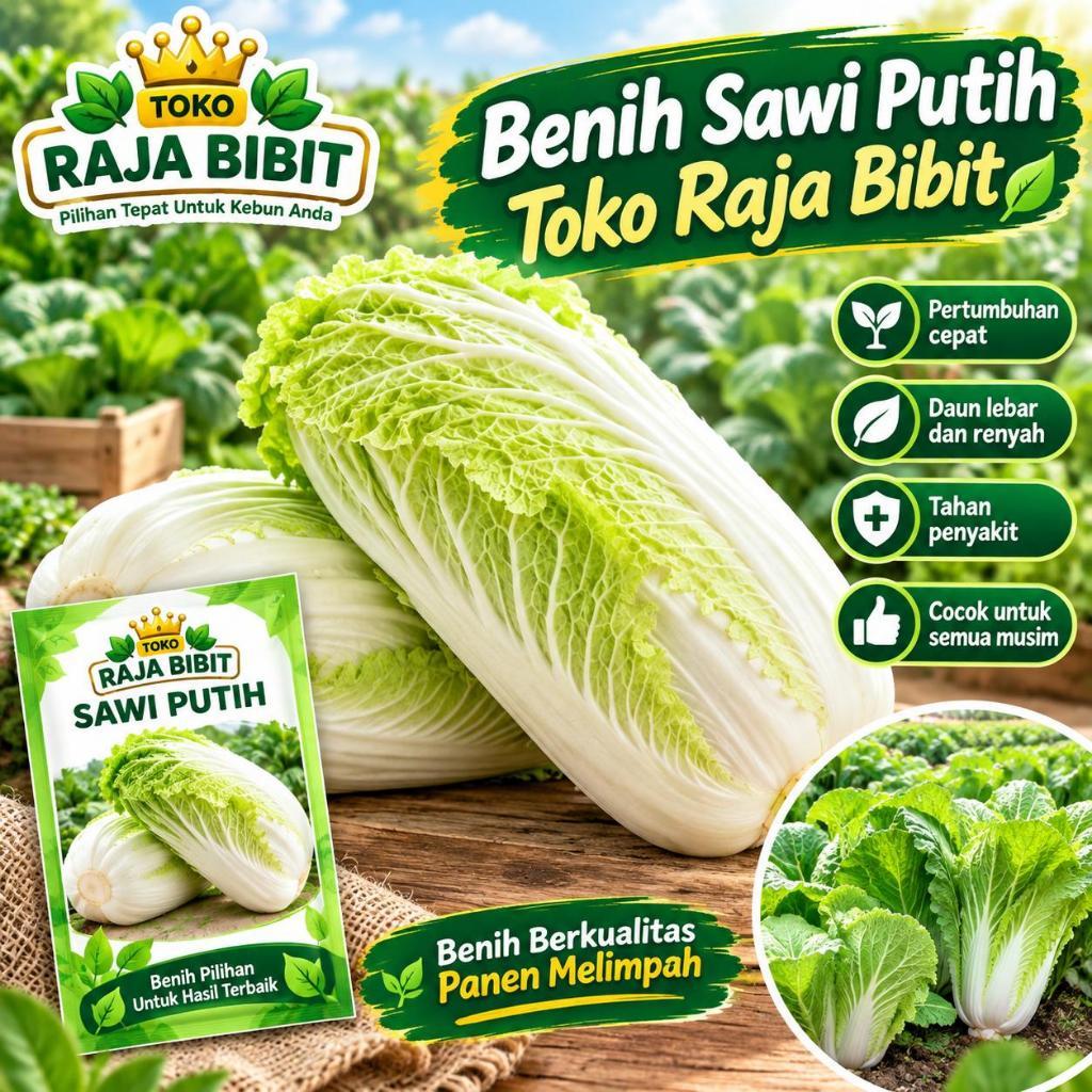 200 BUTIR BENIH SAWI PUTIH | BENIH SAYURAN SAWI PUTIH