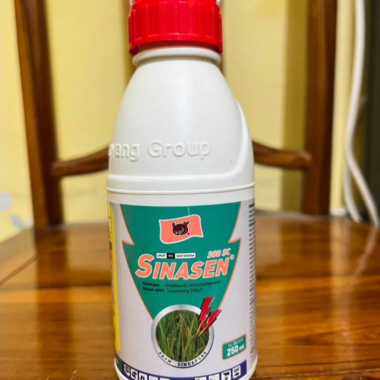 BAKTERISIDA SINASEN 300 SC ISI 250 ML PENGHAMBAT PENYAKIT HAWAR DAUN