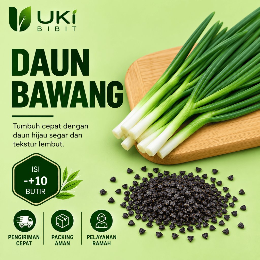 ( 10 Butir ) Benih Biji Daun Bawang Dataran Rendah | Bawang Daun